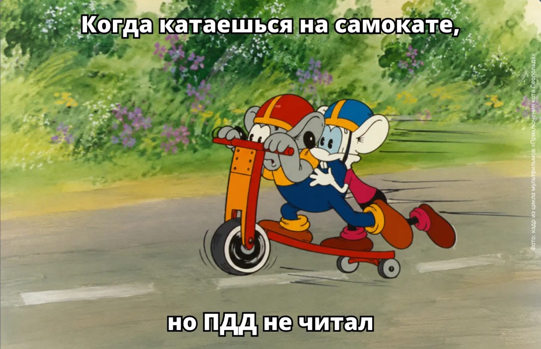 Если вас сбили электросамокатчики