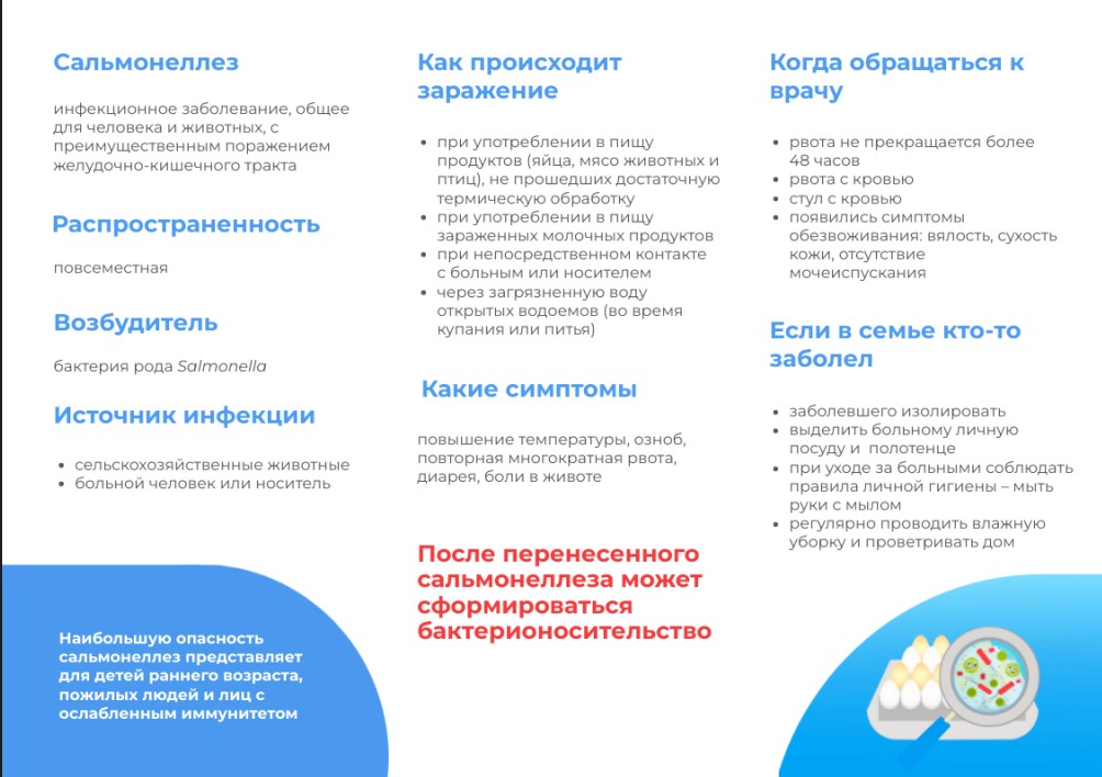 Поговорим о профилактике сальмонеллеза